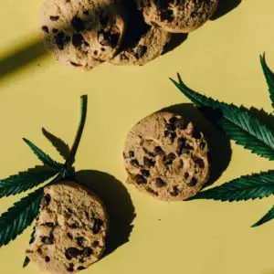 What Happens to Cannabis Edibles in Your Body?