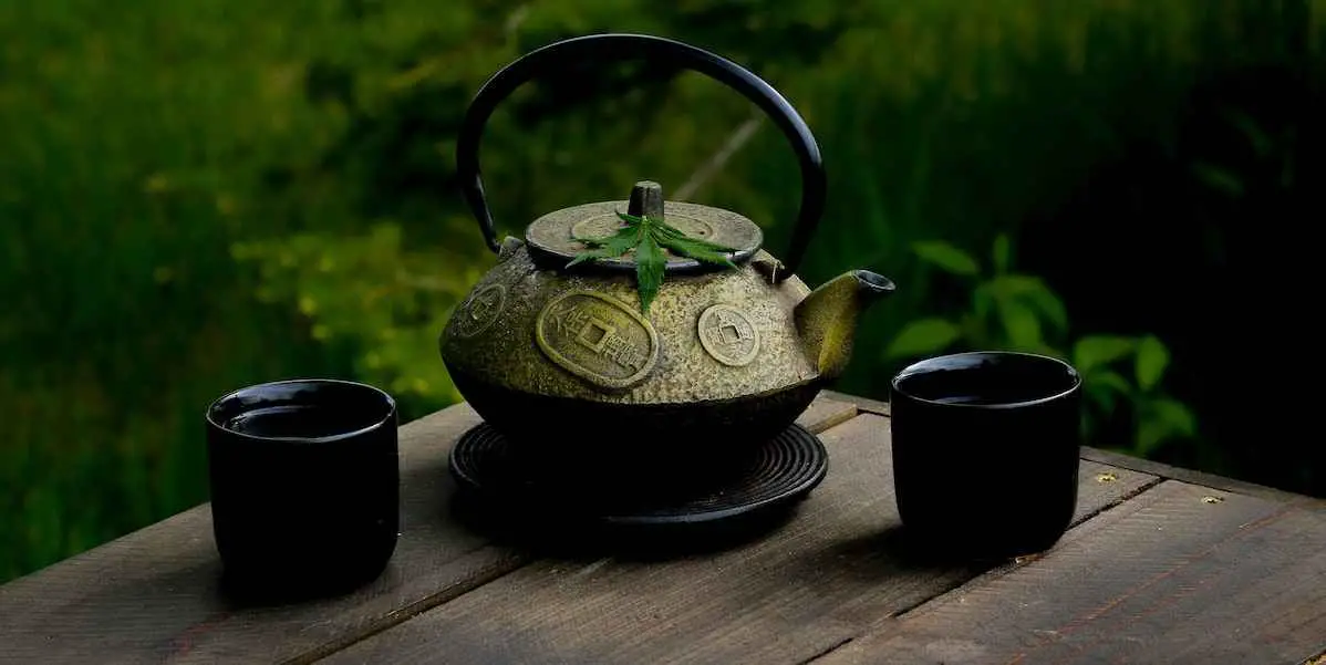 How to Make Cannabis Stem Tea