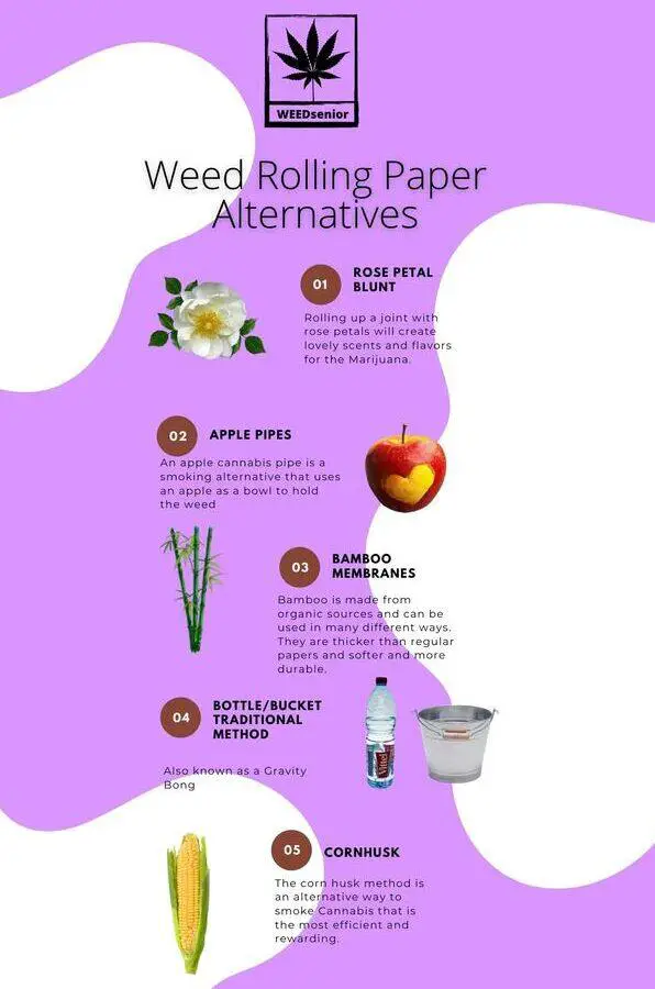 Weed Infographic_Rolling Paper Alternative 1