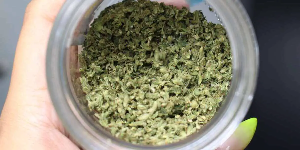 Grind Weed Without a Grinder