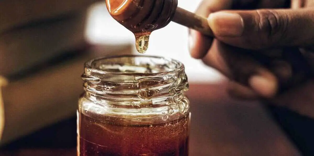 Make Cannabis Weed Stems Infused Honey