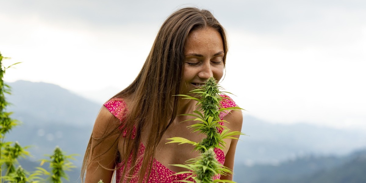 Going Natural is The Healthiest Way to Smoke Weed