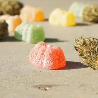 Trulieve Cannabis Dispensary Napa_edibles1