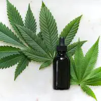 Trulieve Cannabis Dispensary Napa_tincture1
