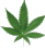 Curaleaf Cannabis Leaf 