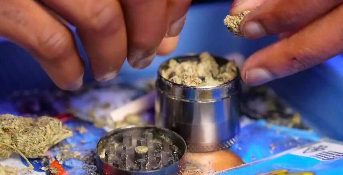 Should You Grind Weed Before Decarbing?